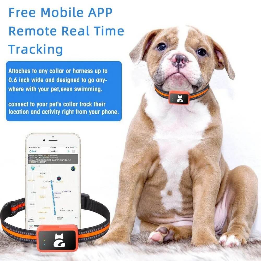 PetSafeTrack G68P | Premium 4G LTE Pet Tracker - PetSafeTracker