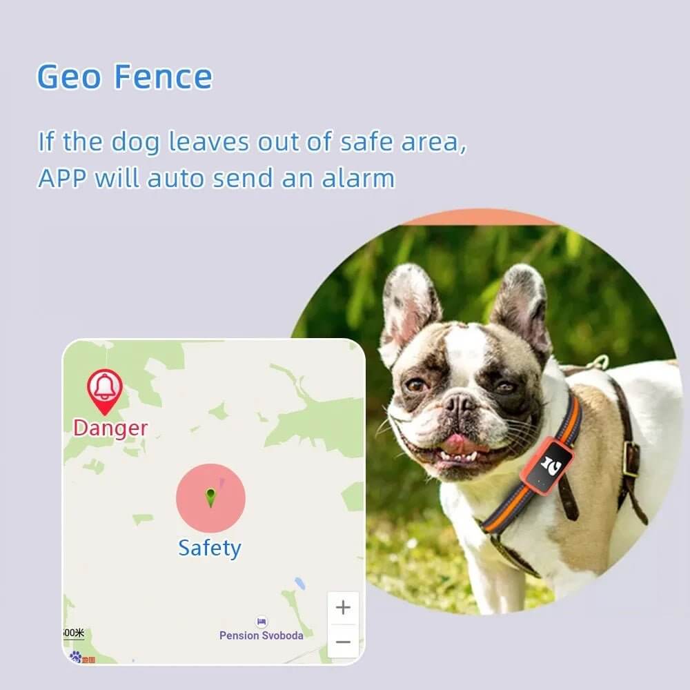 PetSafeTrack G68P | Premium 4G LTE Pet Tracker - PetSafeTracker